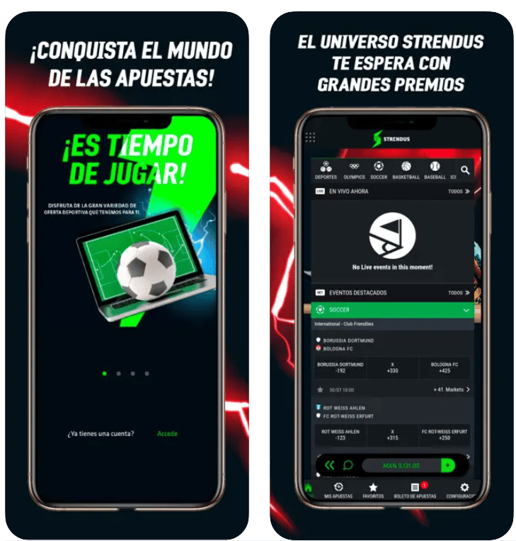 Aplicaci&oacute;n m&oacute;vil: Strendus gana